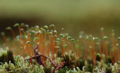 V3.0 Craftsmanship – Chemical Fiber Woven